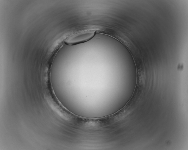 X0000113220350200909241453