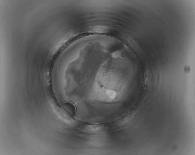 X0000113220351200909241453