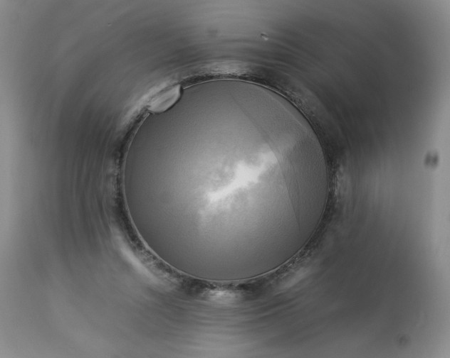 X0000113220352200909241453