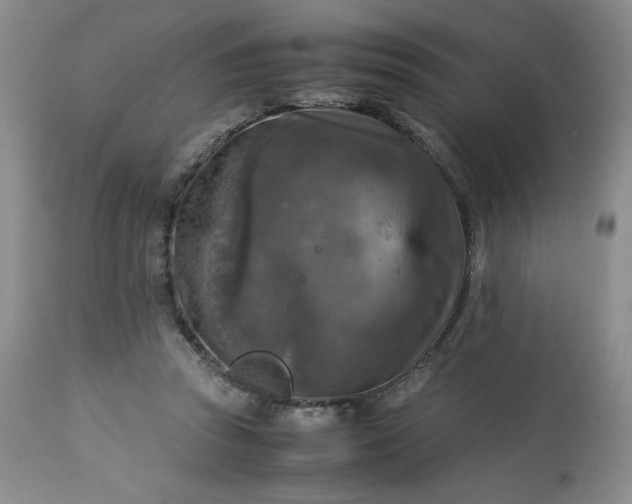 X0000113220353200909241453