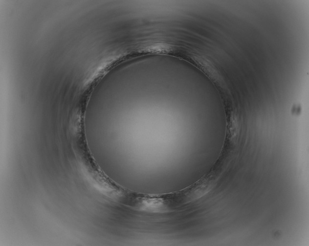 X0000113220355200909241453