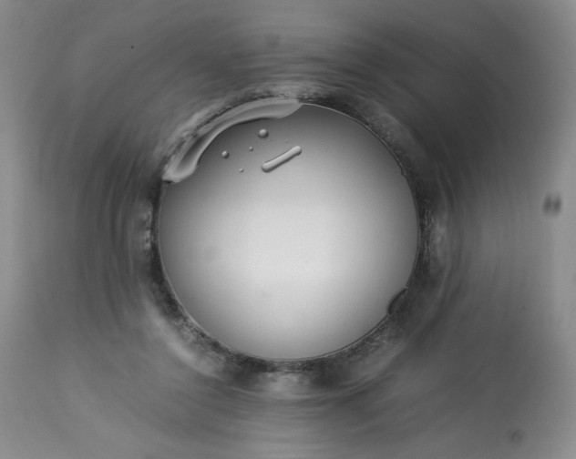 X0000113220356200909241453