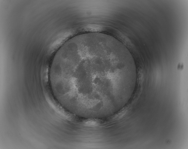 X0000113220358200909241453