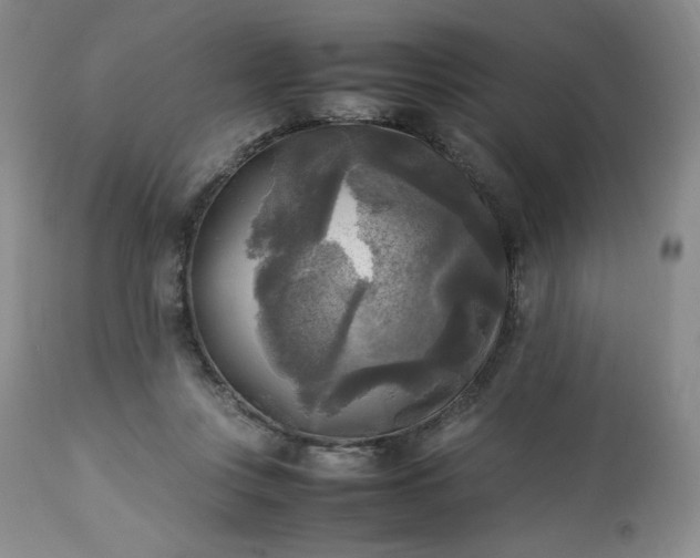 X0000113220359200909241453