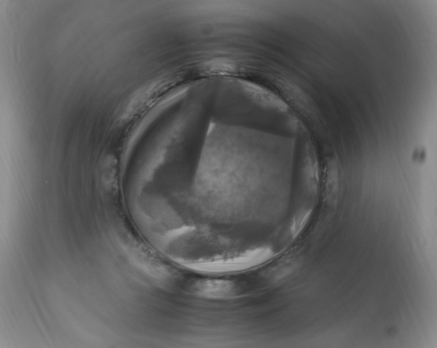 X0000113220361200909241453