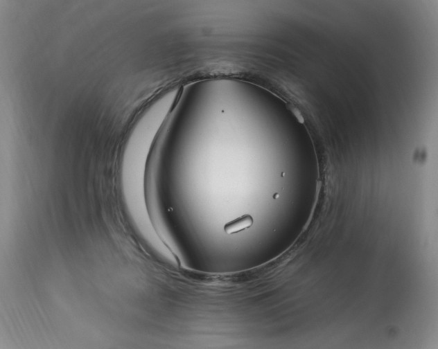 X0000113220362200909241453