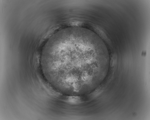 X0000113220363200909241453