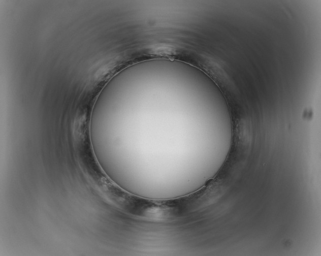 X0000113220364200909241453