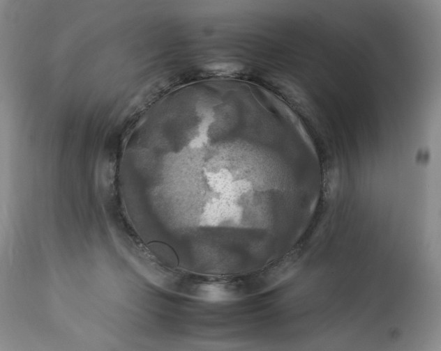 X0000113220365200909241453