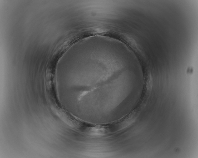 X0000113220366200909241453