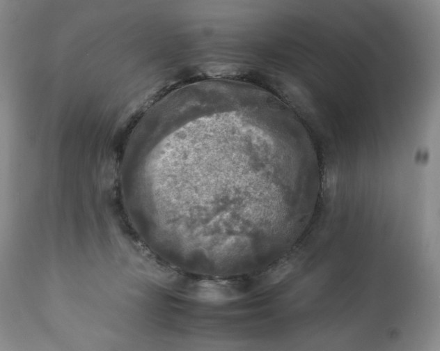 X0000113220367200909241453