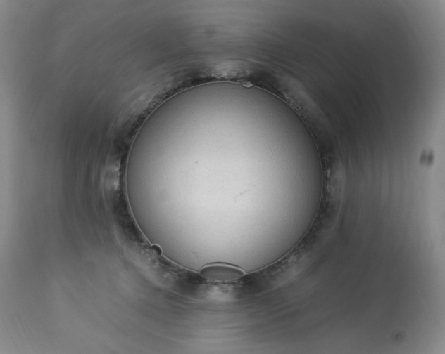 X0000113220368200909241453