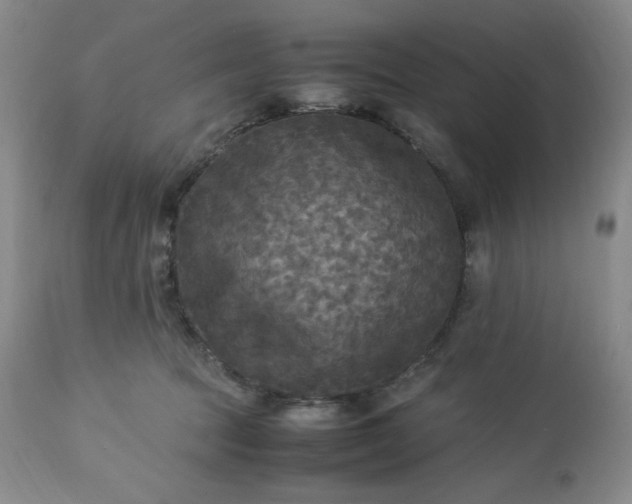 X0000113220369200909241453