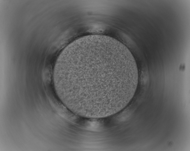 X0000113220370200909241454