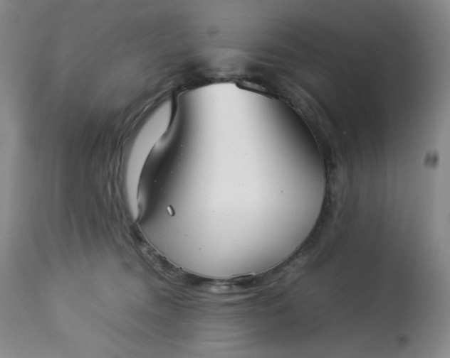 X0000113220372200909241454