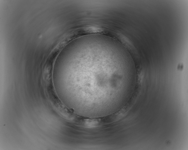 X0000113220373200909241454