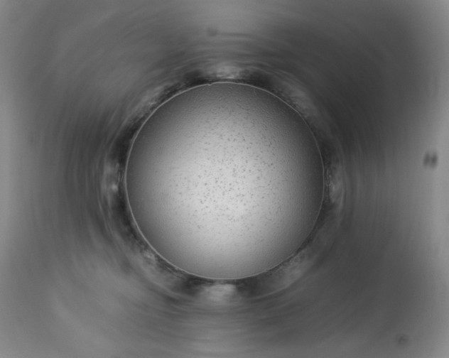 X0000113220374200909241454