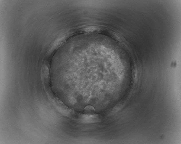 X0000113220375200909241454