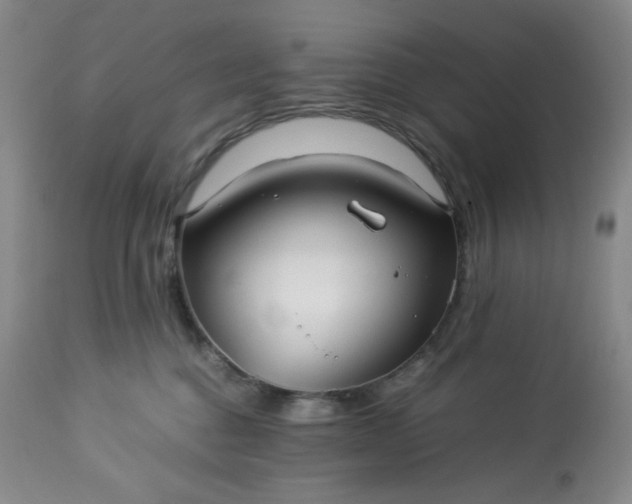 X0000113220376200909241454