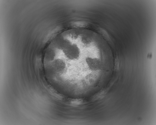 X0000113220377200909241454