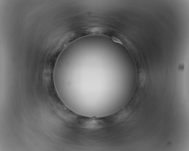 X0000113220379200909241454