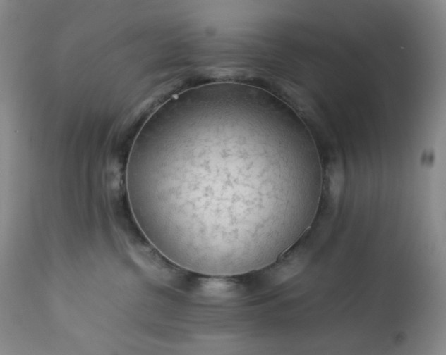 X0000113220380200909241454