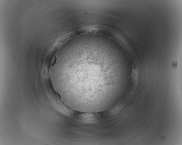 X0000113220381200909241454