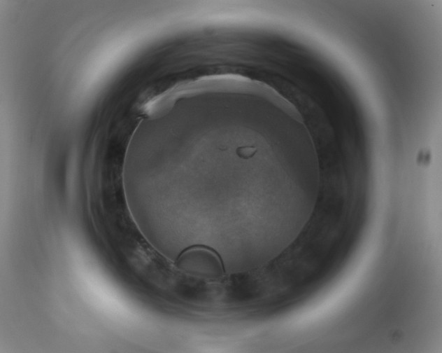 X0000113220382200909241454