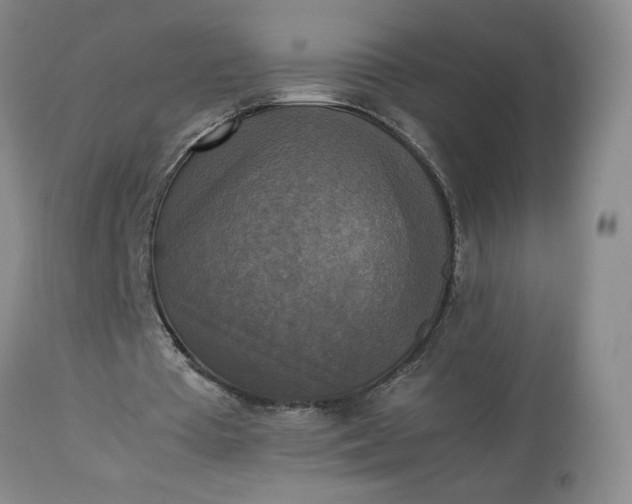 X0000113220385200909241453