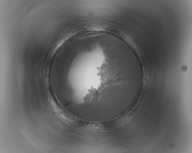 X0000113220386200909241453