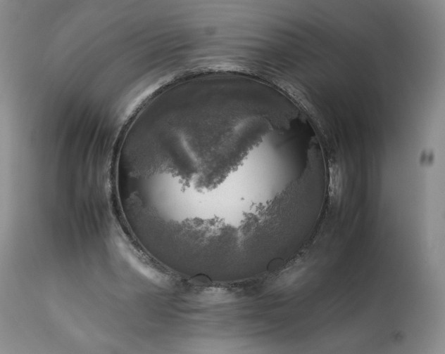 X0000113220390200909241453