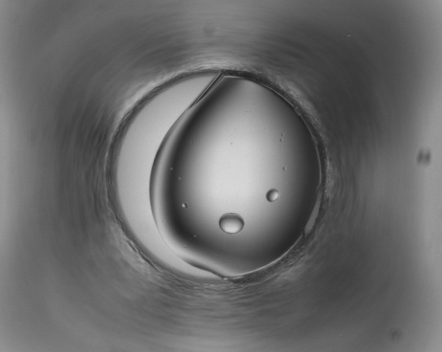 X0000113220391200909241453