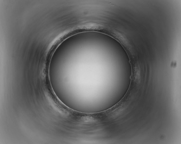 X0000113220392200909241453