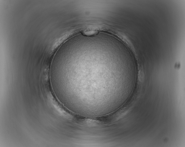 X0000113220393200909241453