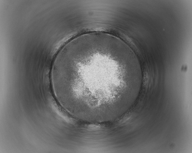 X0000113220394200909241453