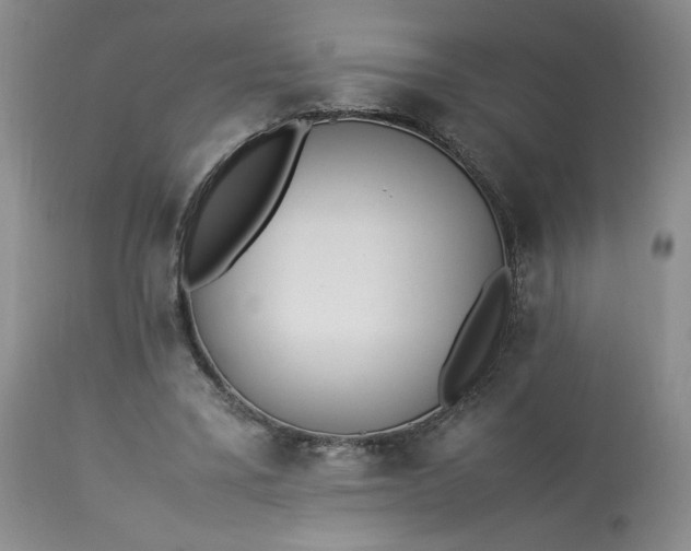 X0000113220395200909241453