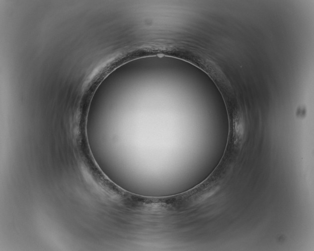 X0000113220396200909241453