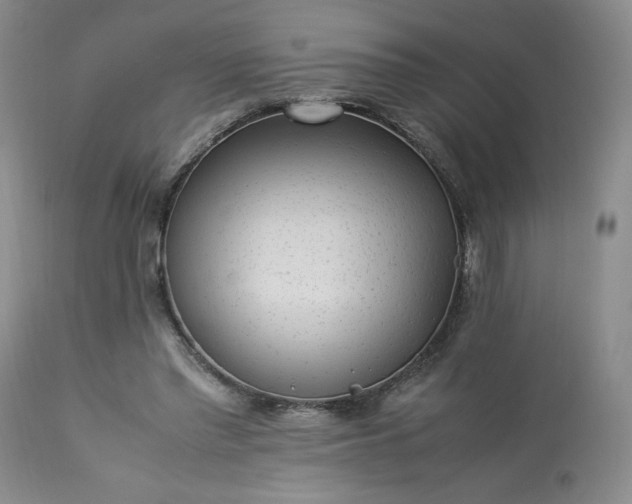 X0000113220397200909241453