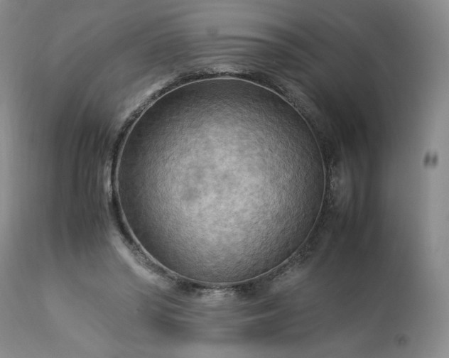 X0000113220398200909241453