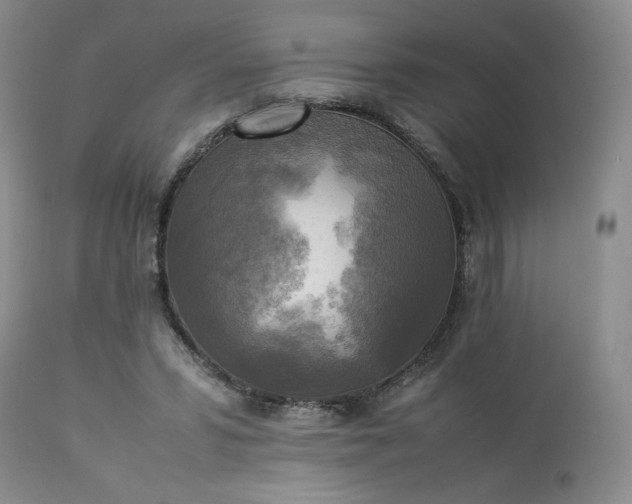 X0000113220399200909241453