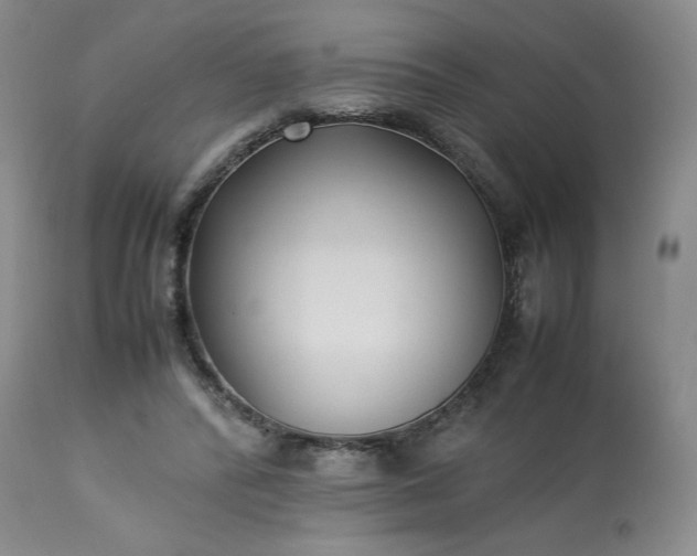 X0000113220400200909241453