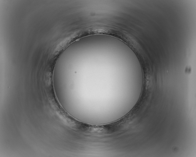 X0000113220401200909241453