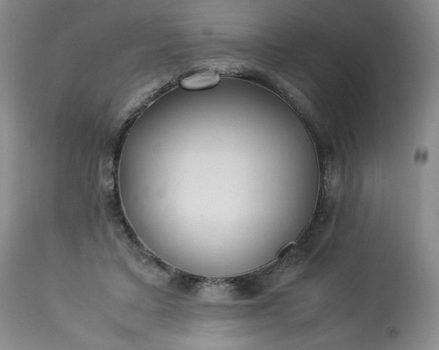 X0000113220403200909241453