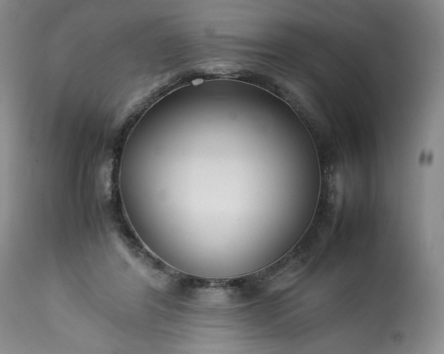 X0000113220404200909241453