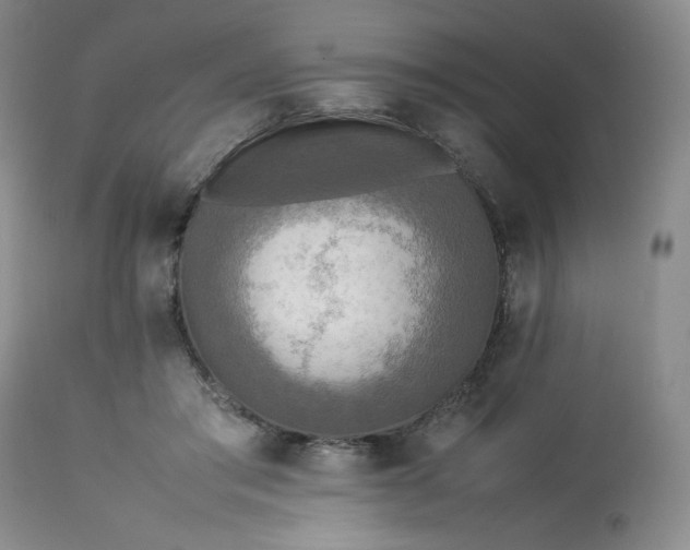 X0000113220405200909241453