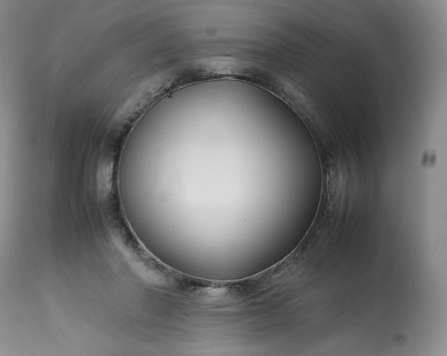 X0000113220406200909241453