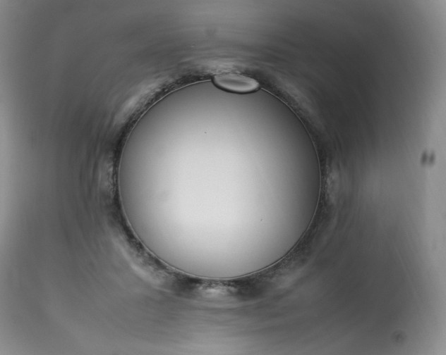 X0000113220407200909241453