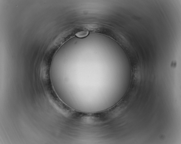 X0000113220408200909241453