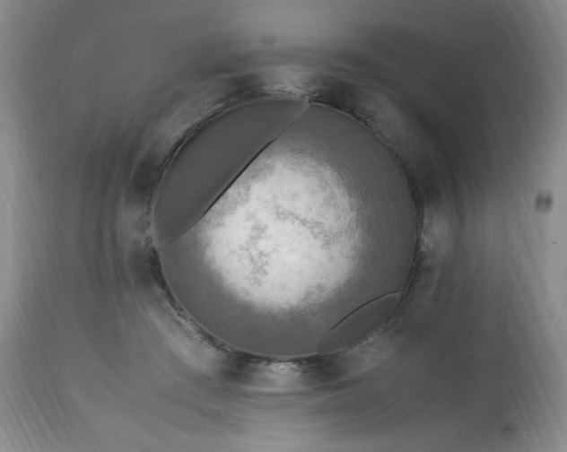 X0000113220409200909241453