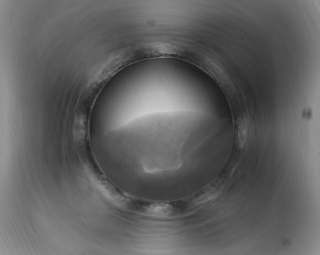 X0000113220410200909241453